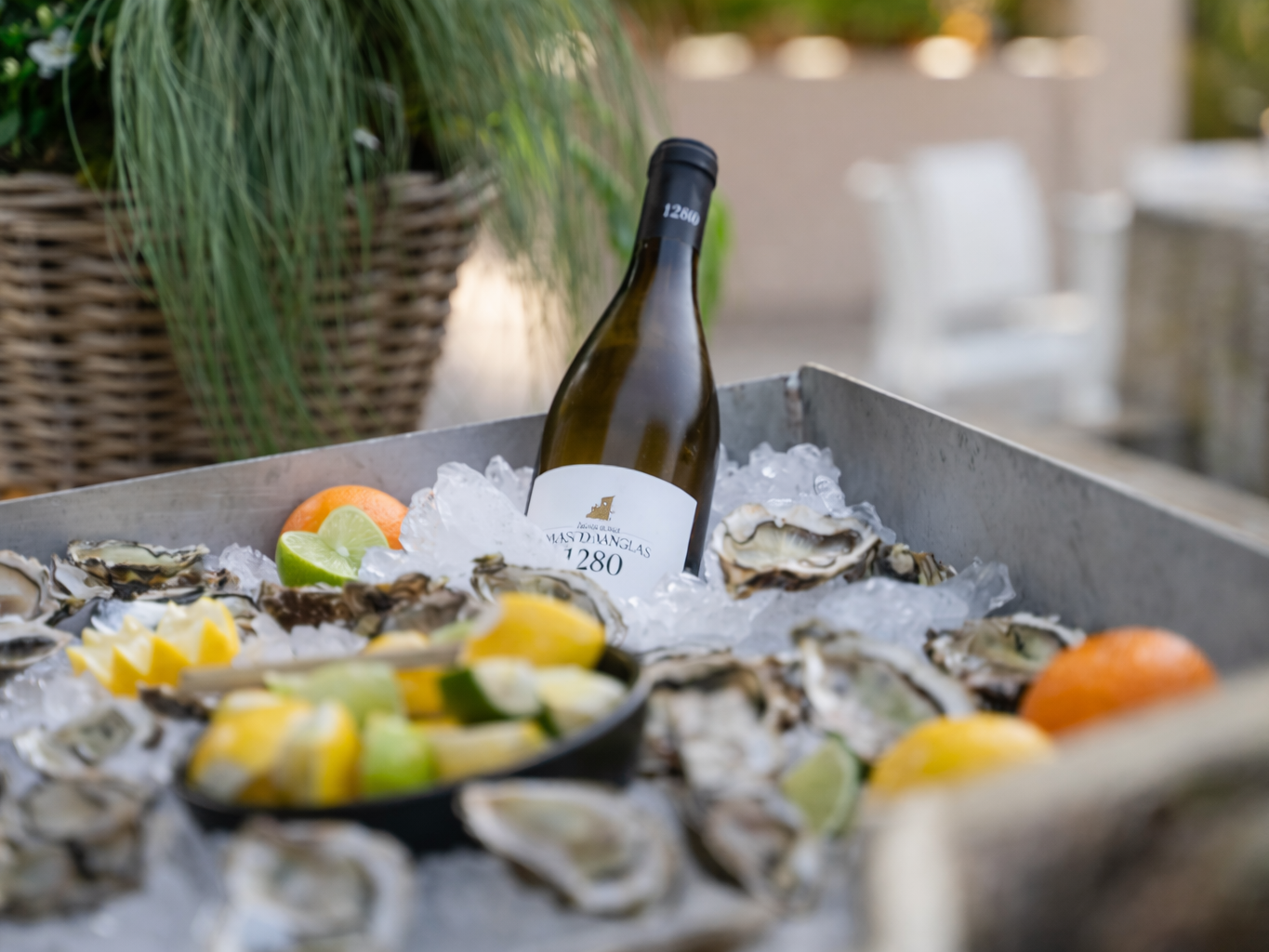 Traiteur Montpellier Monsieur LOUIS Traiteur Huitres et vins Traiteur Montpellier Monsieur LOUIS Traiteur Huitres et vins